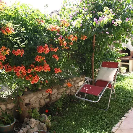 Apartment Branka