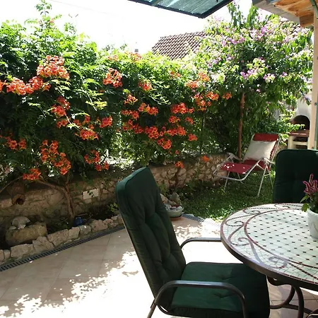 Apartment Branka